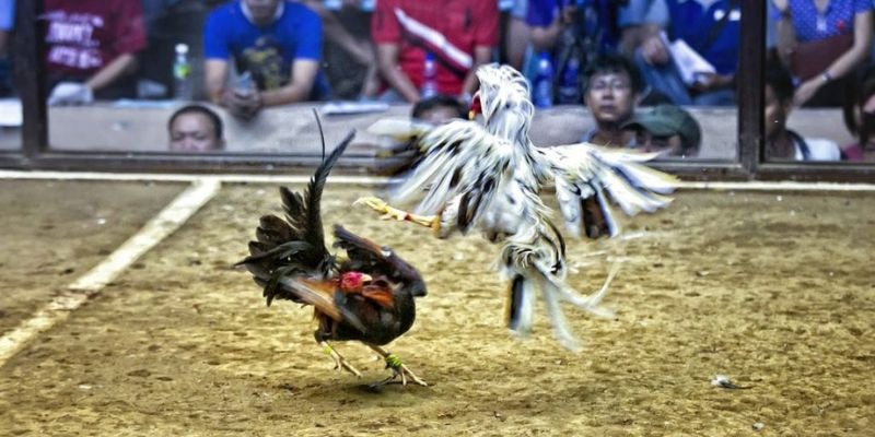 trang bet xổ số miền bắc hôm quả