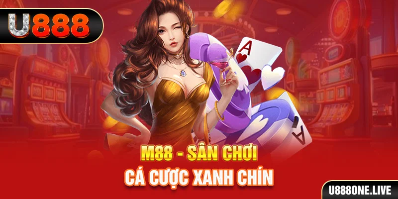 trang bet gà chọi cậu thanh
