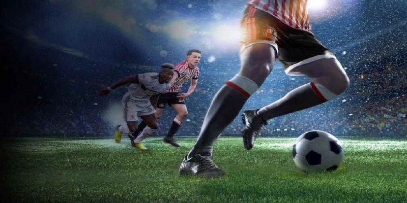 trang bet đá gà trực tiếp hôm nay