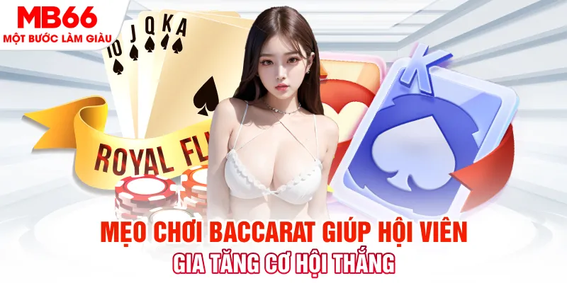 trang bet đá gà 88