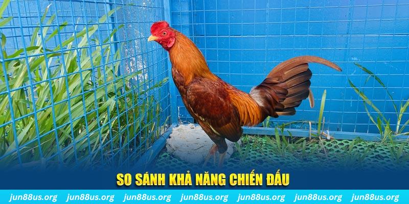 trang bet xổ số tiền giang