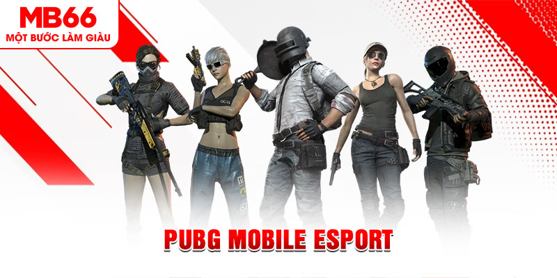 trang bet xổ số minh ngọc – miền nam