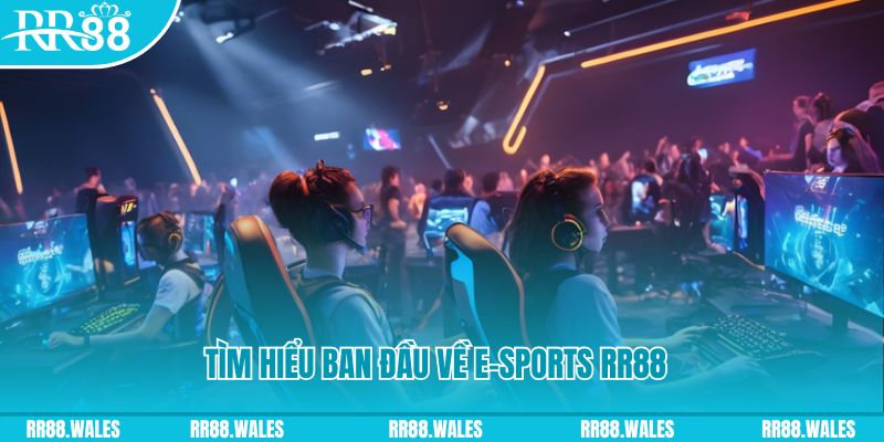 trang bet 8 bit khi nào nổ hũ