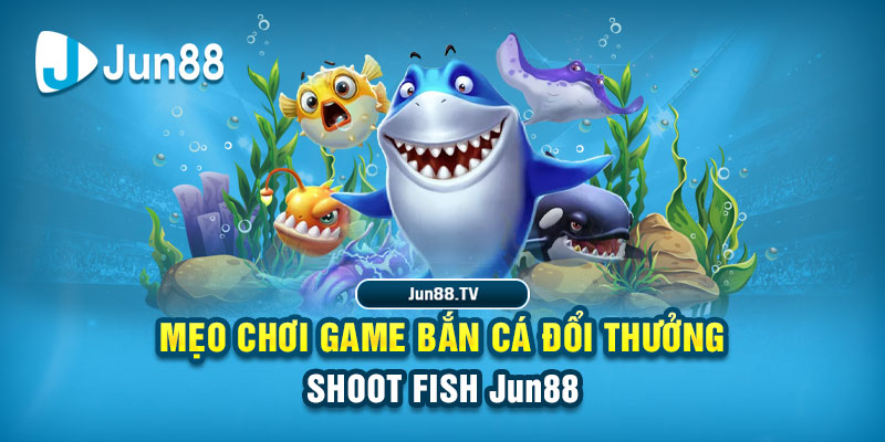 trang bet tai game danh bai bigkool ve may tinh