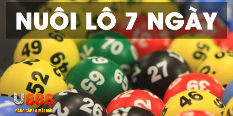 trang bet ON Trực Tuyến