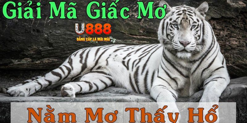 trang bet xổ số kiến thiết miền bắc