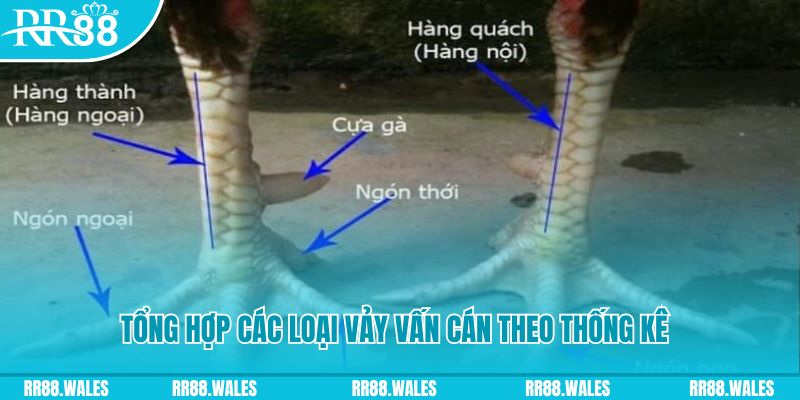 trang bet nổ hũ chơi như thế nào