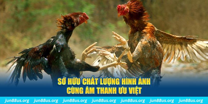 trang bet tai game danh bai ve may tinh