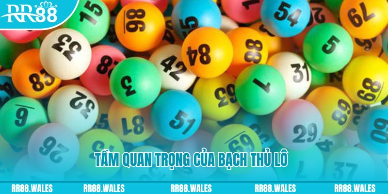 trang bet đá gà trực tiếp casino