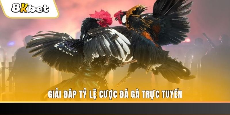 trang bet xổ số ba đài