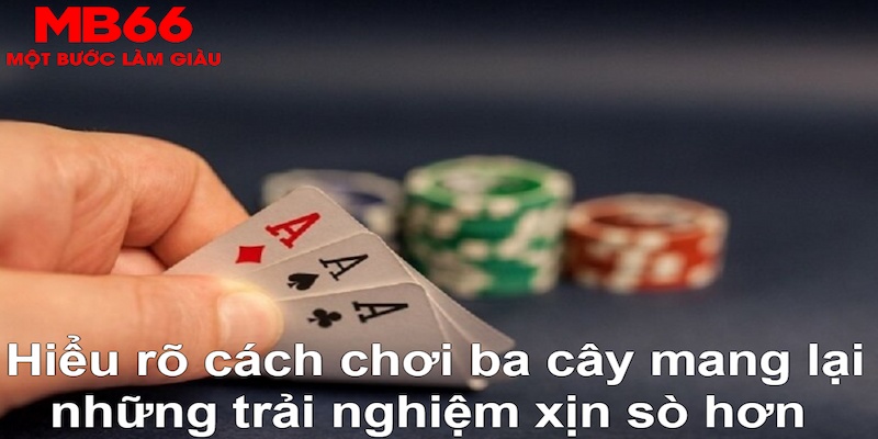 trang bet ÁT CHỦ BÀI GIÀNH LẤY ZHUANG NIUNIU ( XEM 3 LÁ )