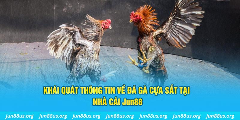trang bet game bài trên máy tính