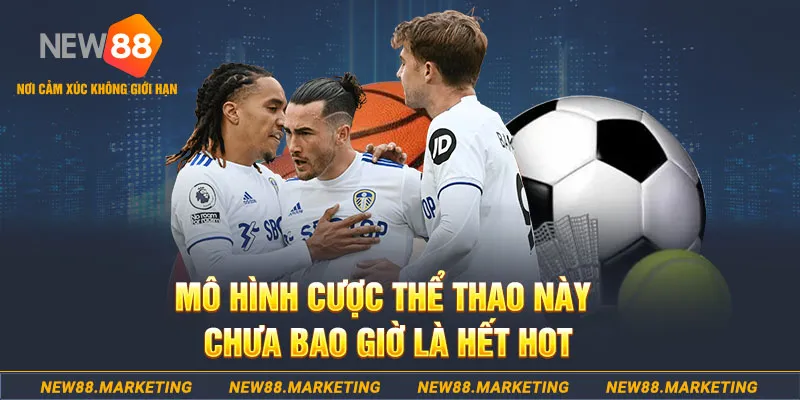 trang bet gà chọi c1 thomo