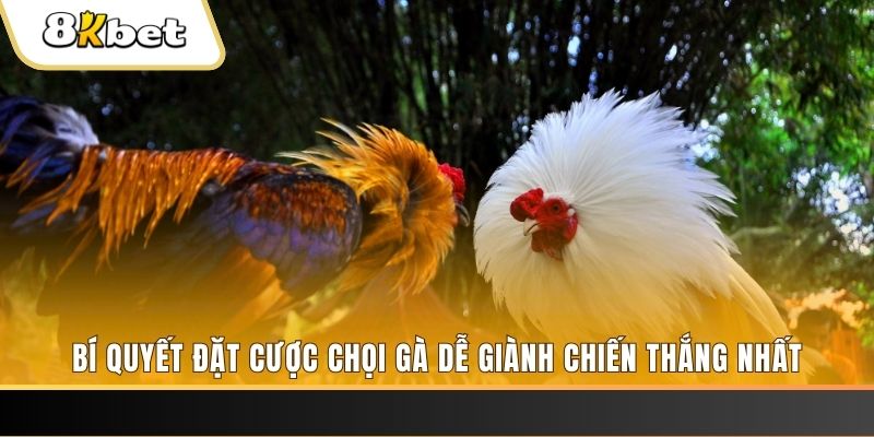 trang bet xo so