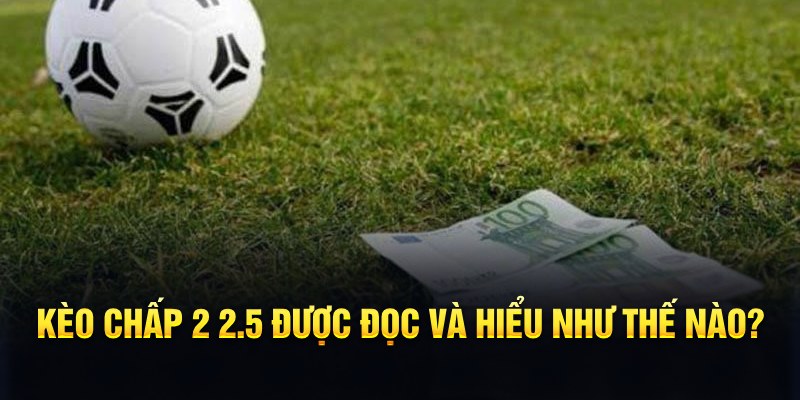 trang bet đá gà thomo