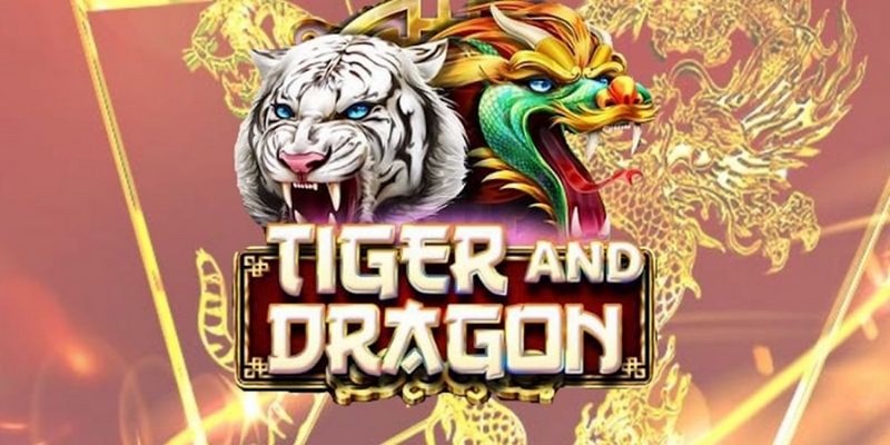 trang bet 888 slot là gì