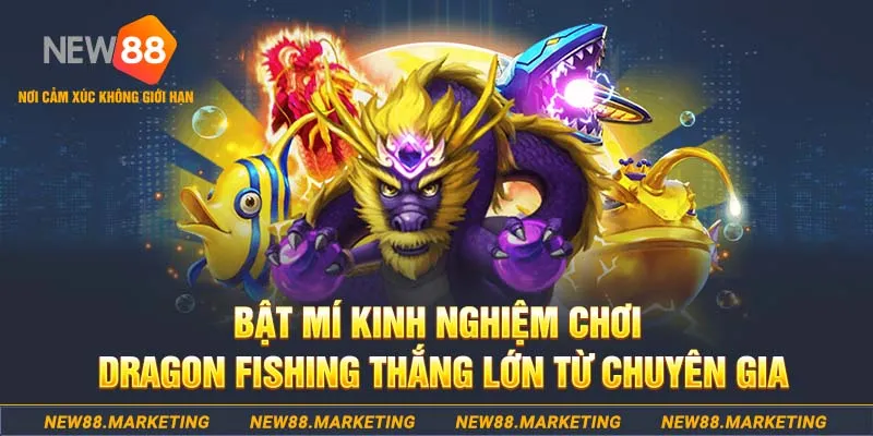 trang bet who wants to be a millionaire slot