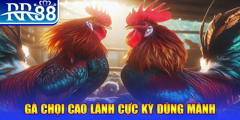 trang bet natural” trong baccarat nghĩa là gì？